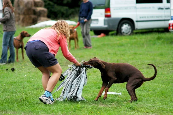 Juhu ich hab´s das ist mein´s