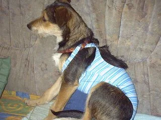 k-Bonny und Kira 030.jpg