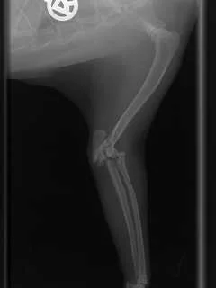 k-frischer Bruch.jpg