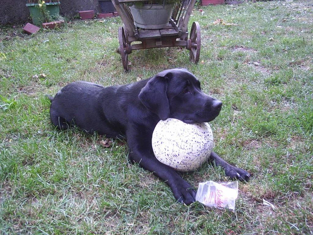 keiner mag mit mir spielen