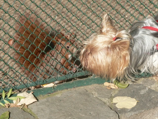 Kira war im Tierpark