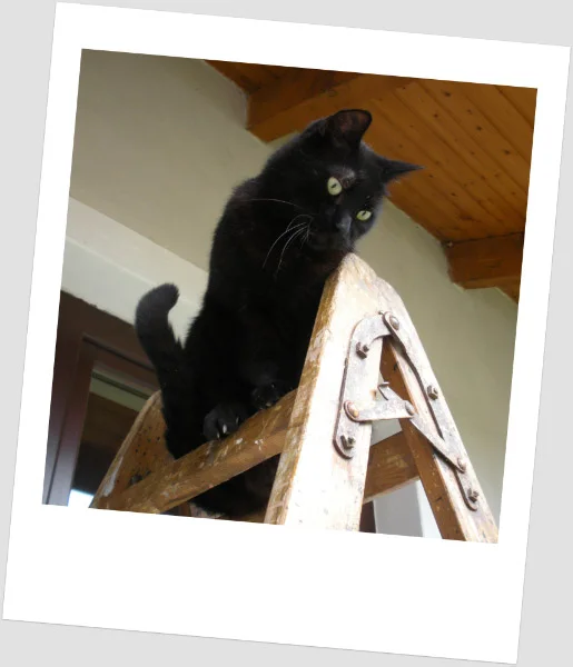 Kleiner "Handwerker"