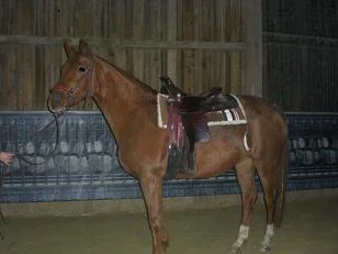 Kopie (2) von Bild 1421.jpg