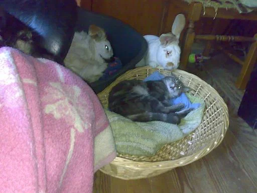 Kopie (2) von Sommer 2008 056.jpg