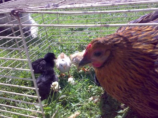 Kopie von 20072008547.jpg