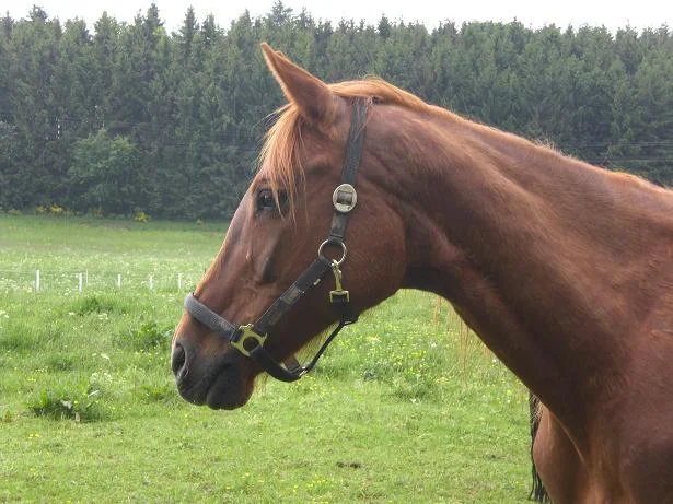 Kopie von Alle 501.jpg