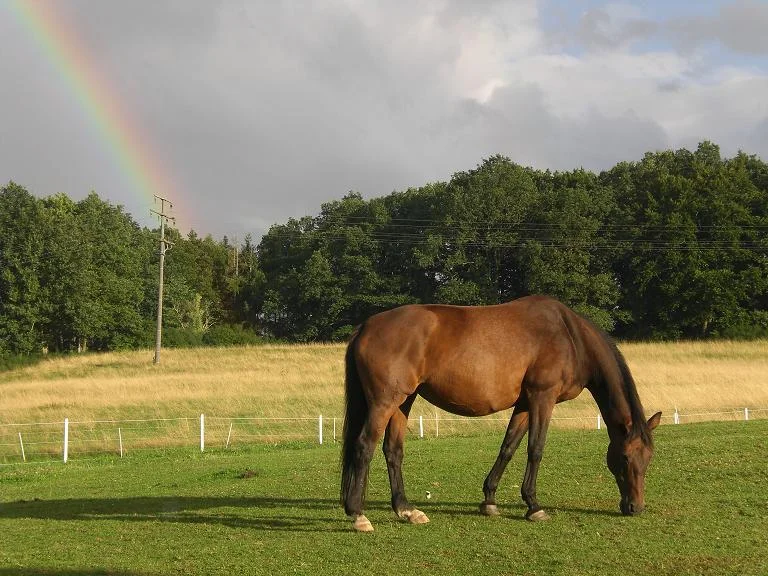 Kopie von Bild 057.jpg