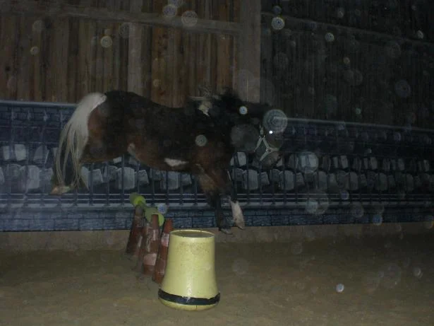 Kopie von Bild 1722.jpg