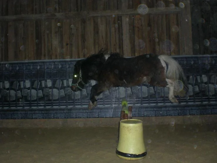 Kopie von Bild 1724.jpg