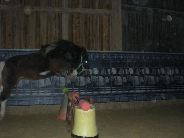 Kopie von Bild 1731.jpg