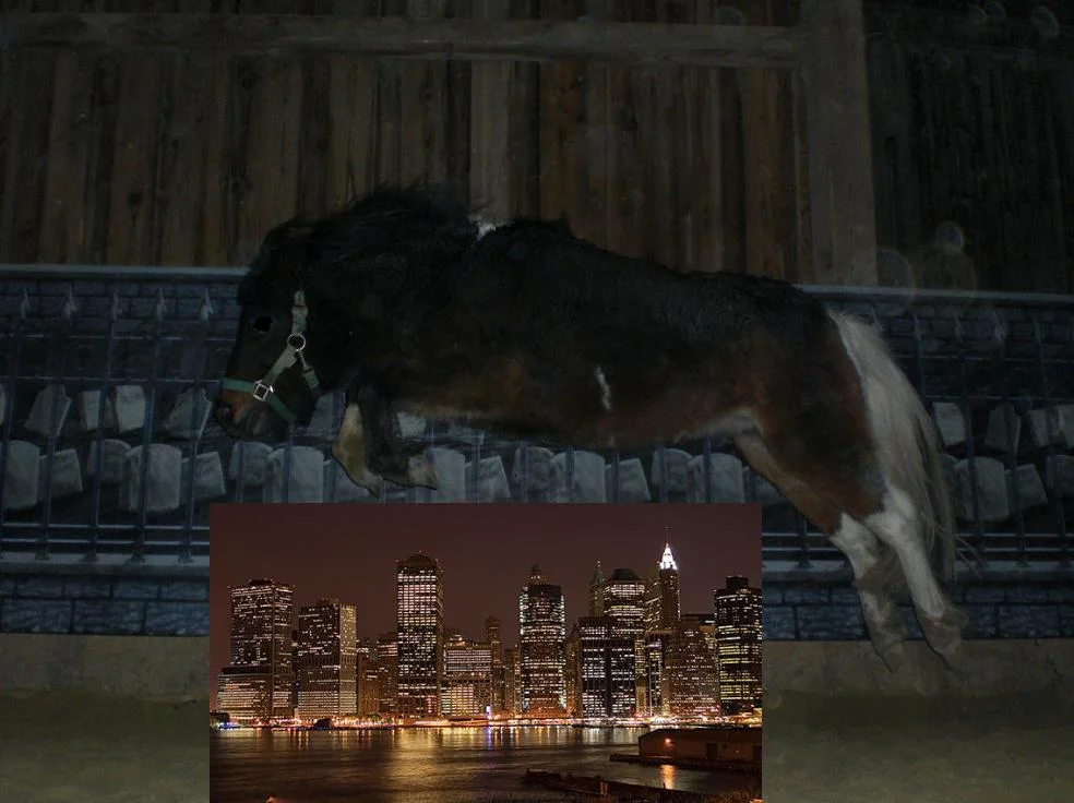 Kopie von Bild 1843.jpg