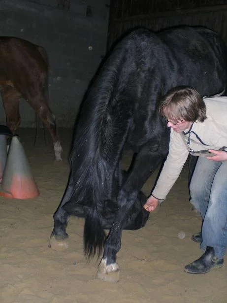 Kopie von Bild 1884.jpg