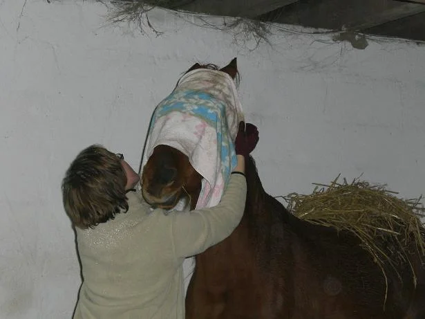 Kopie von Bild 1984.jpg