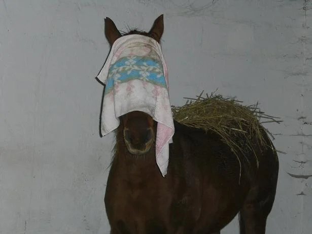 Kopie von Bild 1985.jpg