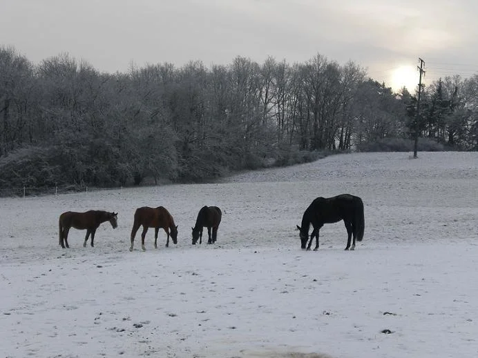 Kopie von Bild 2033.jpg