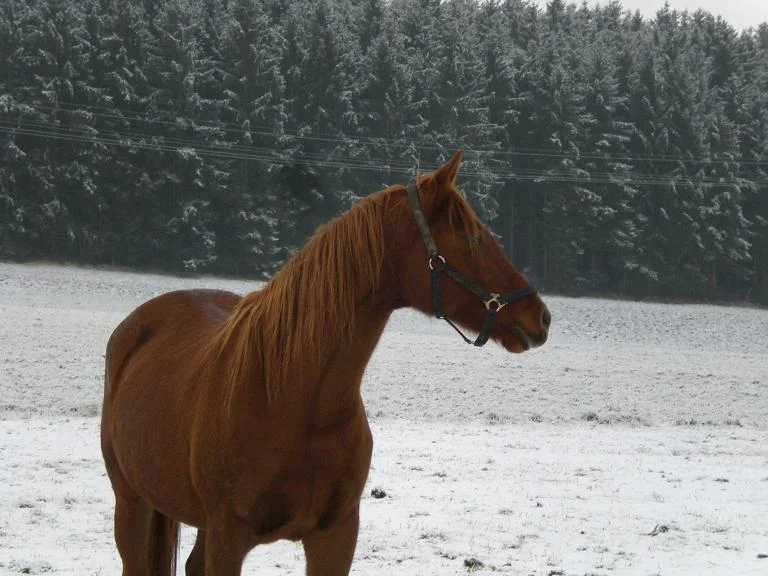 Kopie von Bild 2060.jpg