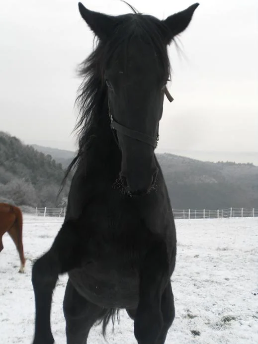 Kopie von Bild 2063.jpg