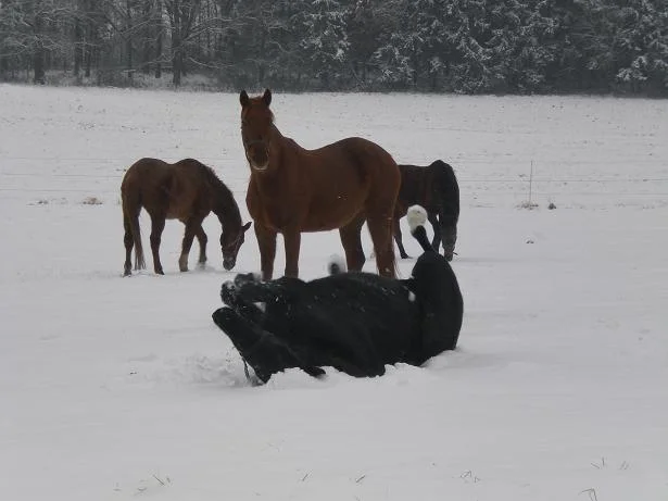 Kopie von Bild 2326.jpg