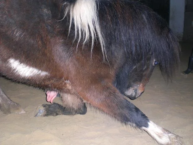 Kopie von Bild 2577.jpg