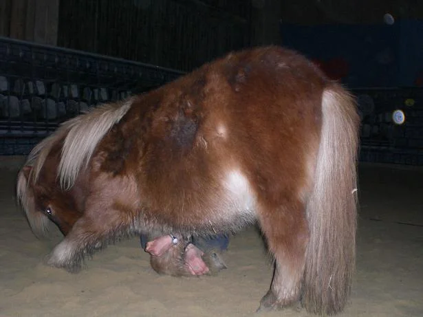 Kopie von Bild 2604.jpg