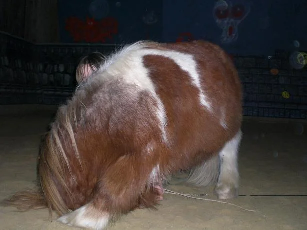 Kopie von Bild 2616.jpg