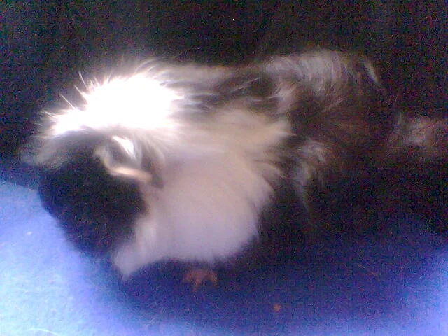 Kopie von bilder 2007 u. 2008 130.jpg