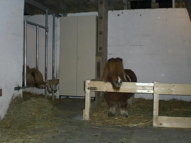 Kopie von Div 038.jpg