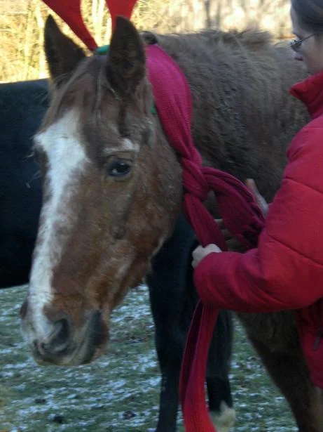 Kopie von diverses 040.jpg