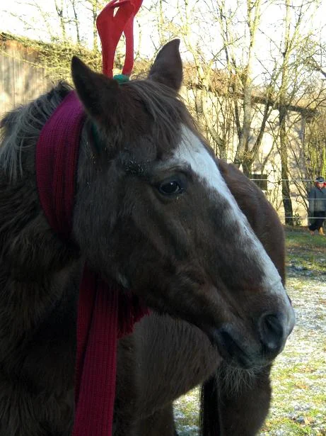 Kopie von diverses 042.jpg