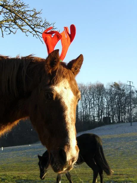 Kopie von diverses 076.jpg