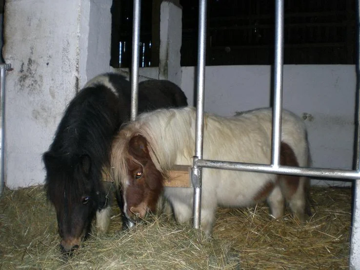 Kopie von diverses 422.jpg