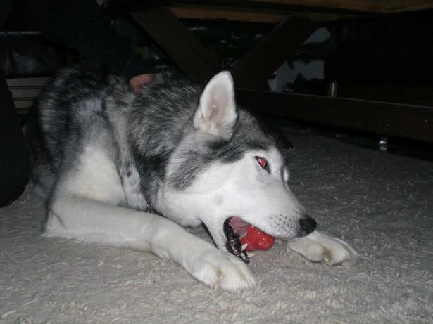 Kopie von diverses 552.jpg