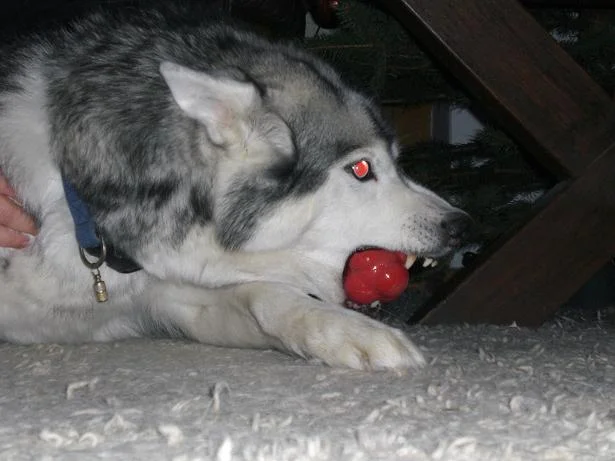 Kopie von diverses 568.jpg