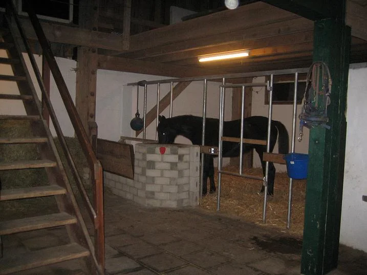 Kopie von IMG_0860.jpg