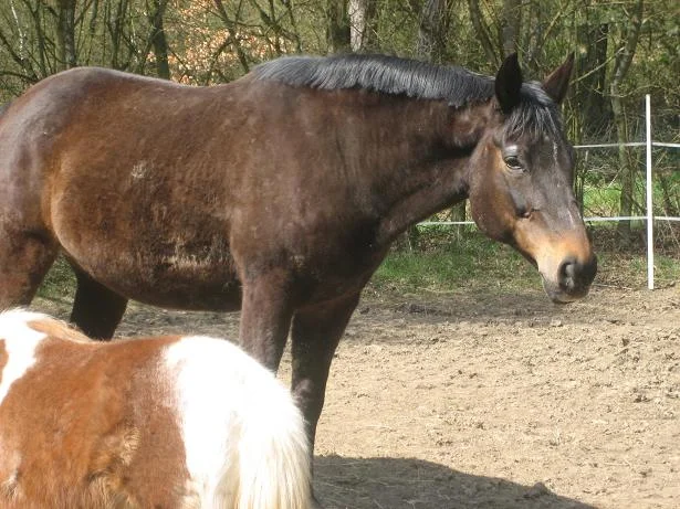 Kopie von IMG_1267.jpg