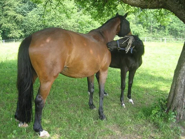 Kopie von IMG_2405.jpg