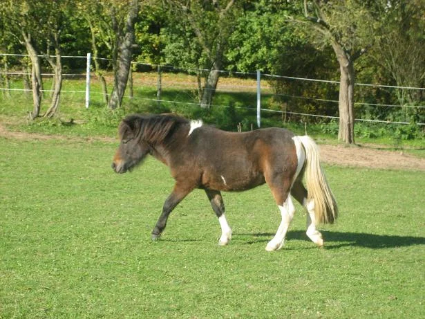 Kopie von IMG_3375.jpg