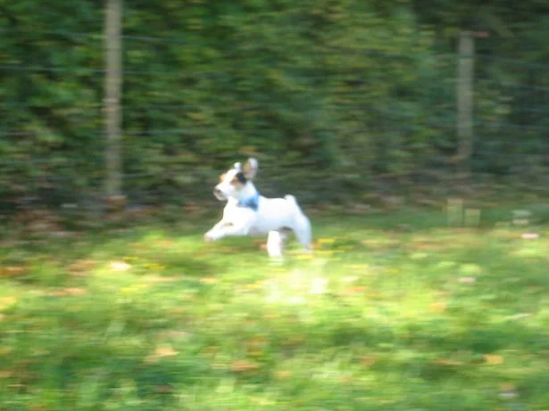 Kopie von IMG_3479.jpg