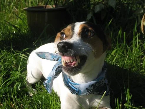 Kopie von IMG_3496.jpg