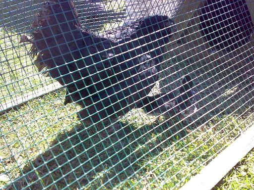 Kopie von Sommer 2008 150.jpg