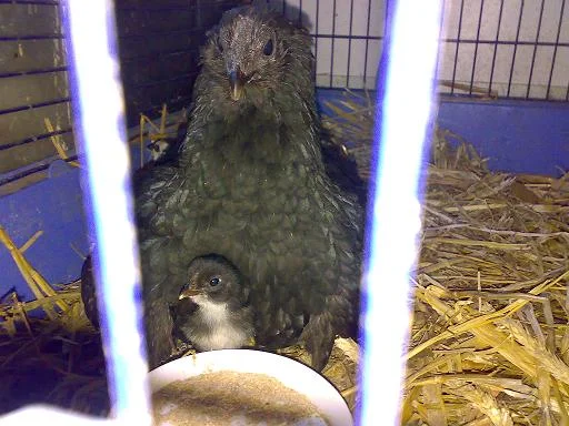 Kopie von Sommer 2008 155.jpg