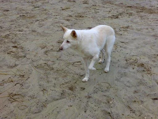 Kopie von Sommer 2008 170.jpg