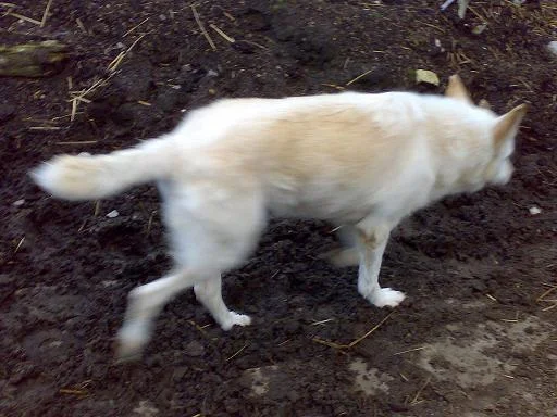 Kopie von Sommer 2008 172.jpg