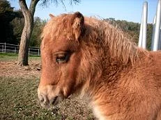 Kopie von sortieren 00043.jpg