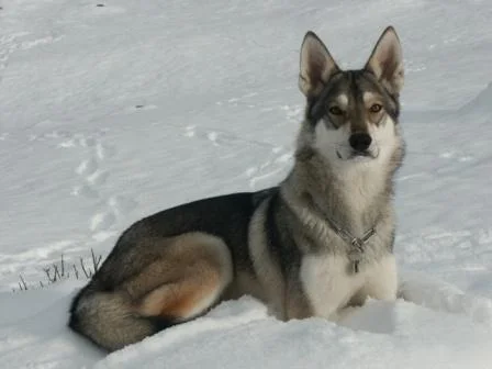 Kühles, festes Nass