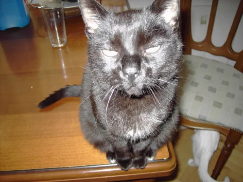 Lass mich doch in Ruh...