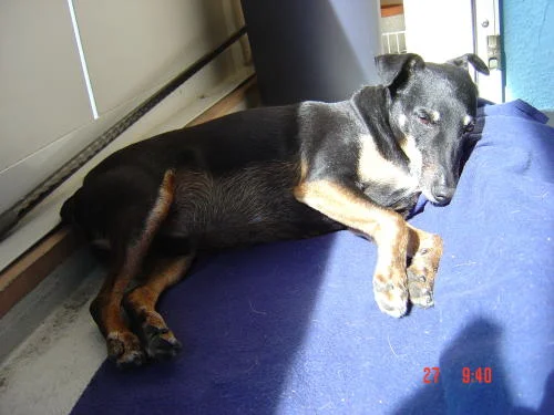 lass mich in ruhe, ich lass mich sonnen .......