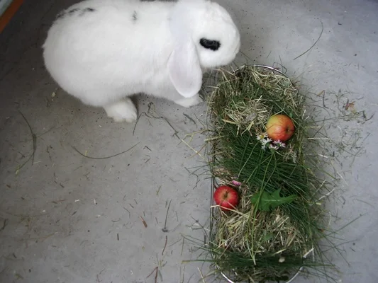 Lecker- Schmecker Betrachtung
