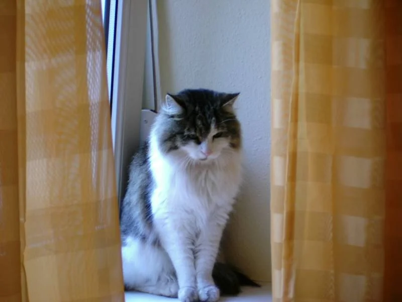 Leo... ganz ernst...