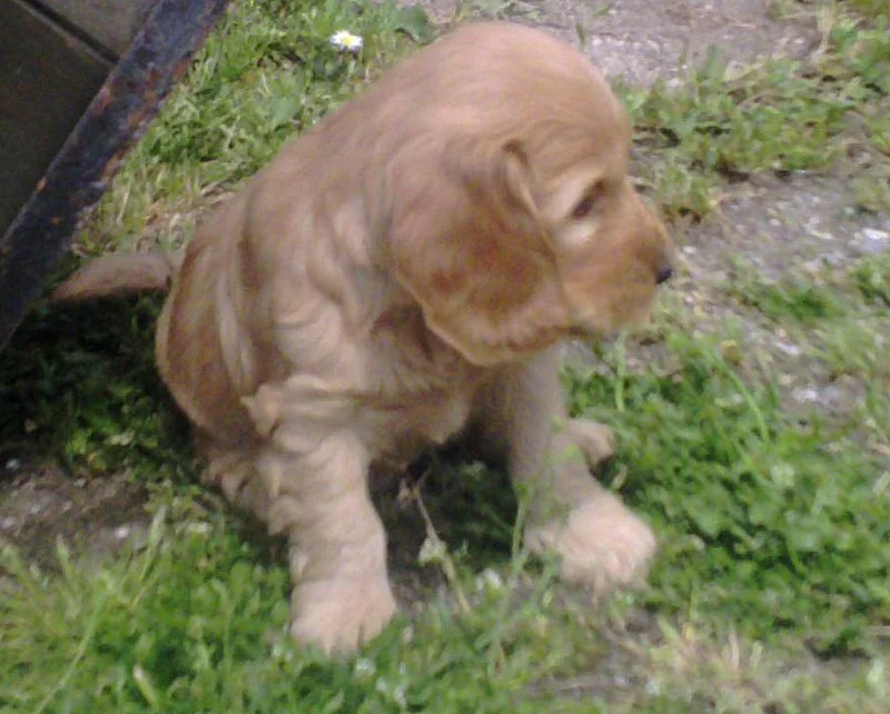 Luna mal ganz lässig*gg*